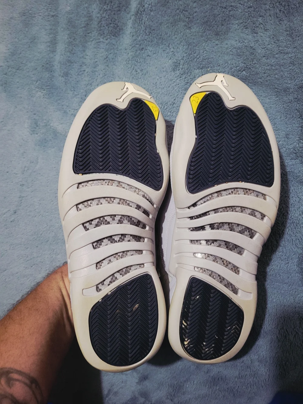 Air Jordan 12 Retro Low 
